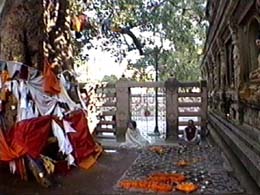 bodh05.jpg (58805 bytes)