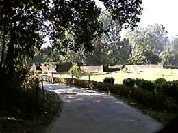 sra048.jpg (25127 bytes)