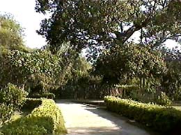 sra050.jpg (28784 bytes)