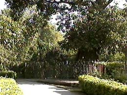 sra051.jpg (30487 bytes)